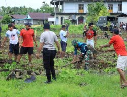 Hari Pertama TMMD ke-126 Kodim 1505/Tidore, Personil Satgas dan Warga Mulai Kerjakan Sasaran Fisik di Desa Wama